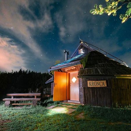 Koca Kronca - Velika Planina Stahovica Luaran gambar