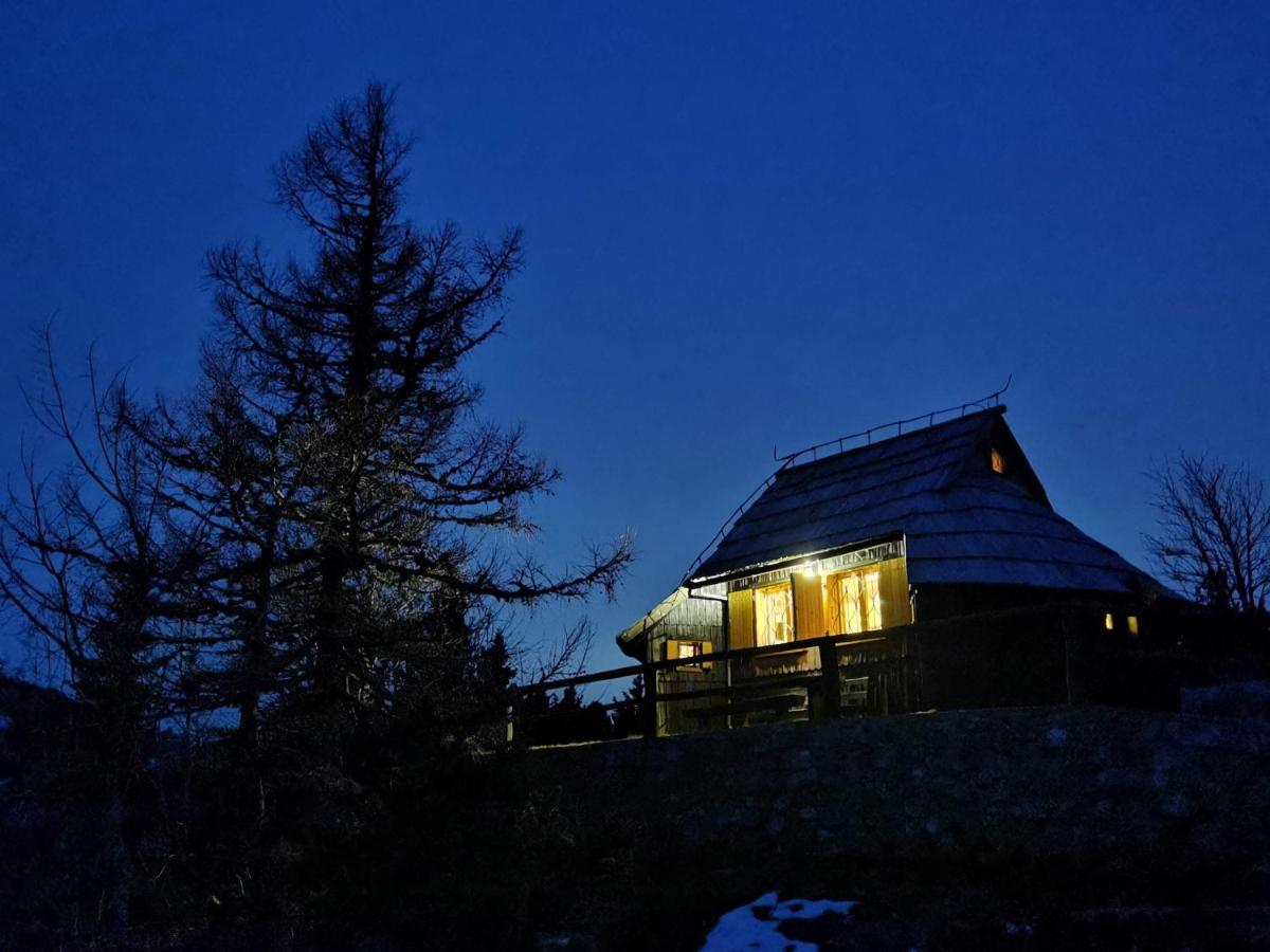 Koca Kronca - Velika Planina Stahovica Luaran gambar