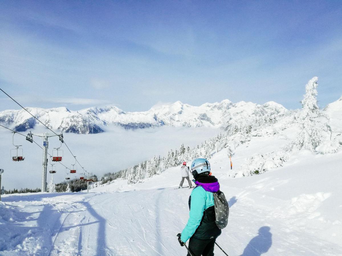 Koca Kronca - Velika Planina Stahovica Luaran gambar