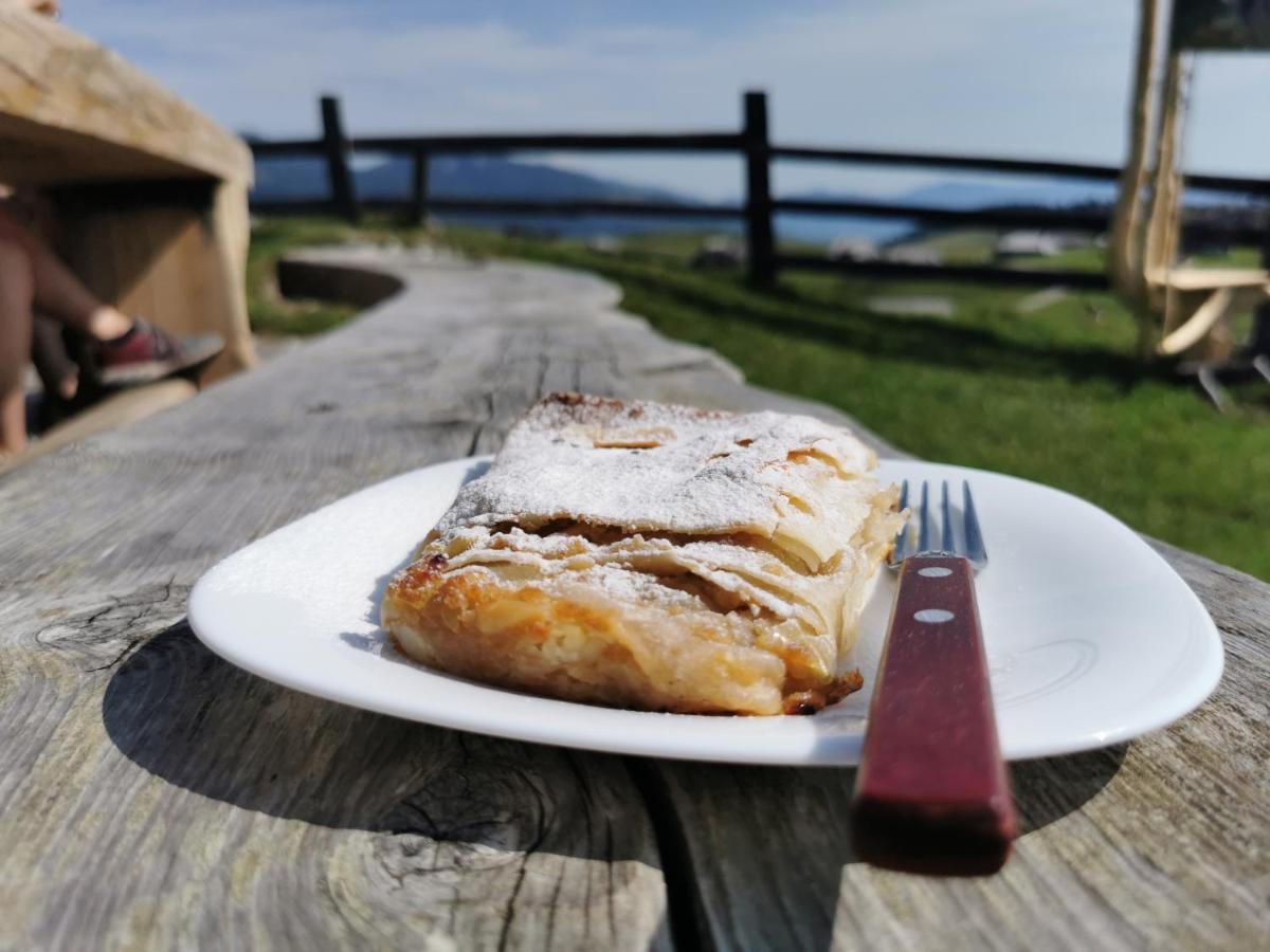 Koca Kronca - Velika Planina Stahovica Luaran gambar