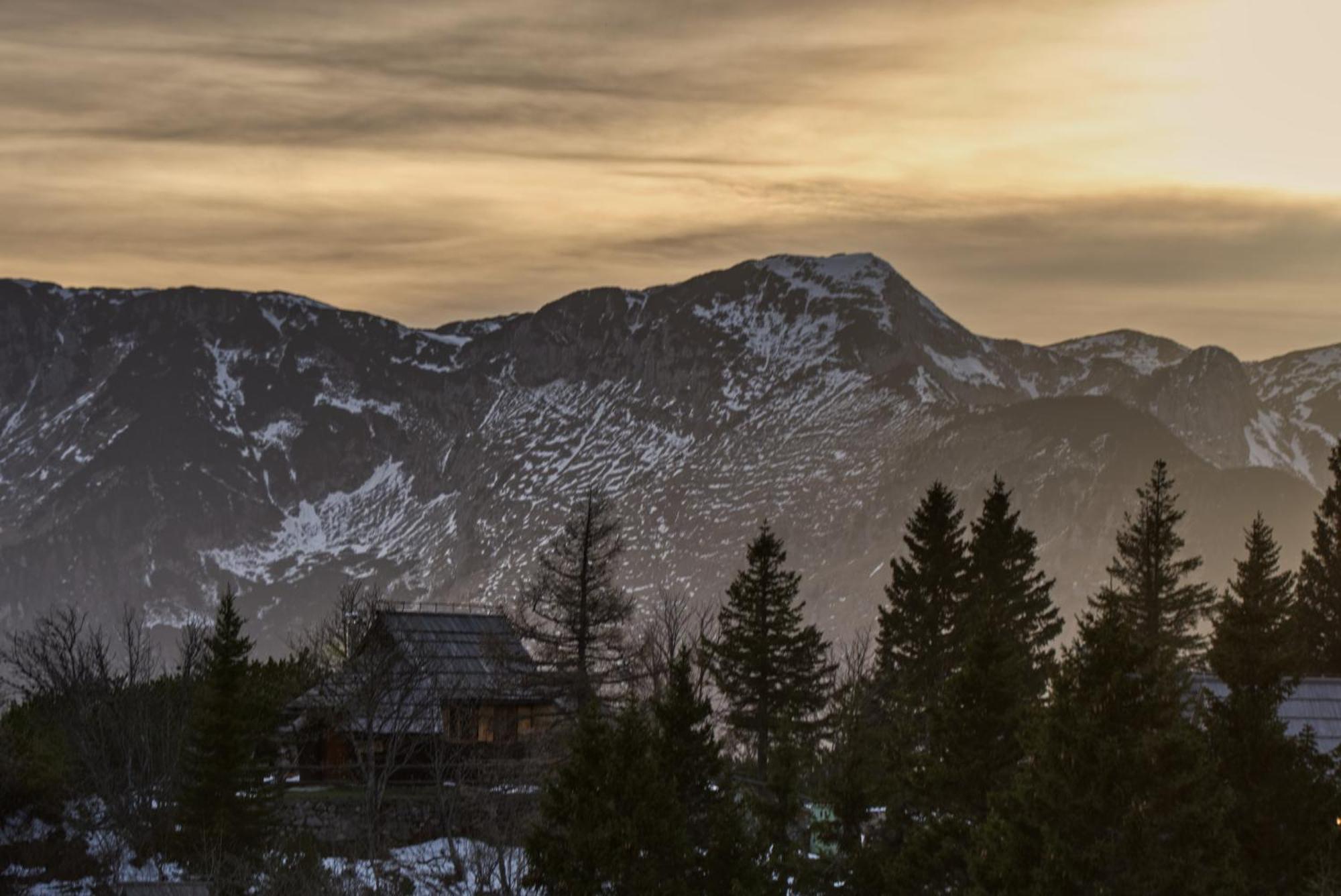 Koca Kronca - Velika Planina Stahovica Luaran gambar